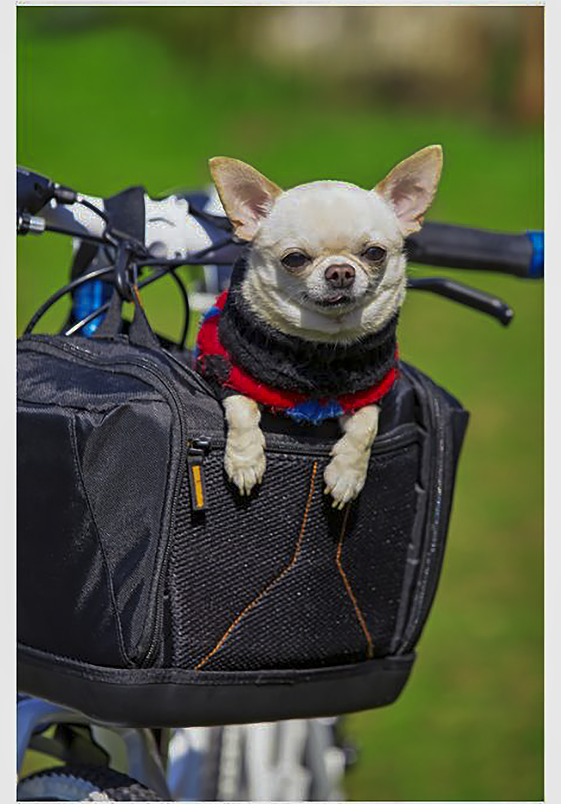 Best eBike Panniers, Bags and Carriers-Edit2 copy