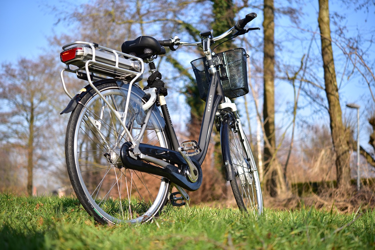 Best ebike for Delivery